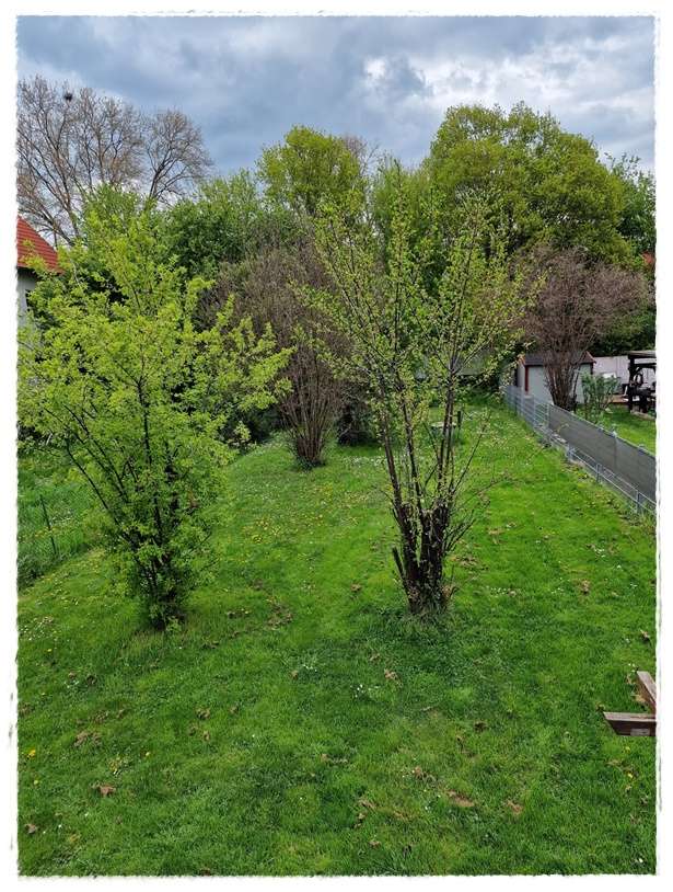 Eine tolle DHH mit perfektem Grundriss für die Familie…..hier lässt es sich hervorragend leben