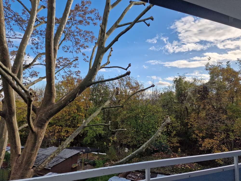 4 Zi. Wohnung mit Tgl. Bad, Balkon, EBK u.v.m*****frei ab sofort