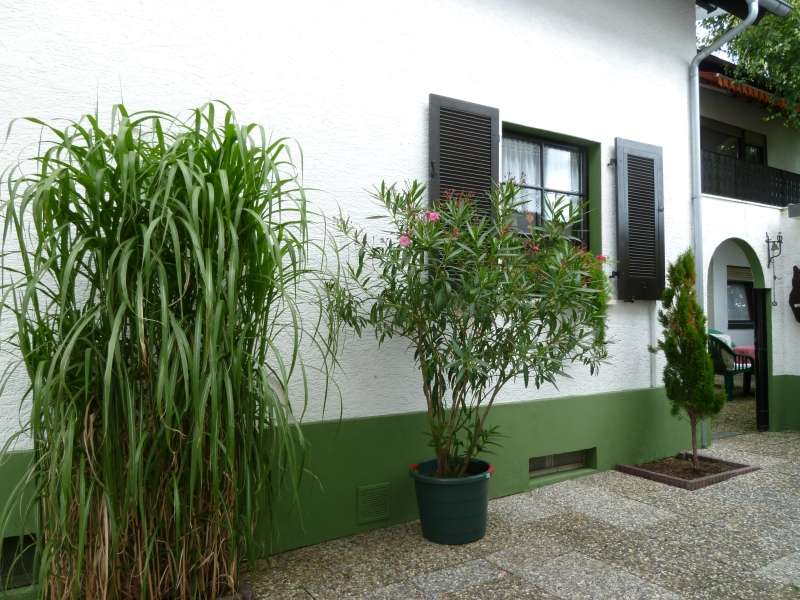 Freistehendes Einfamilienhaus im alten Ortskern von Dienheim zu verkaufen