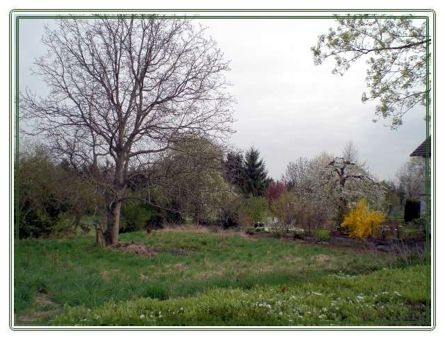 Baugrundstück im Neubaugebiet  noch verfügbar ***Randlage*****  