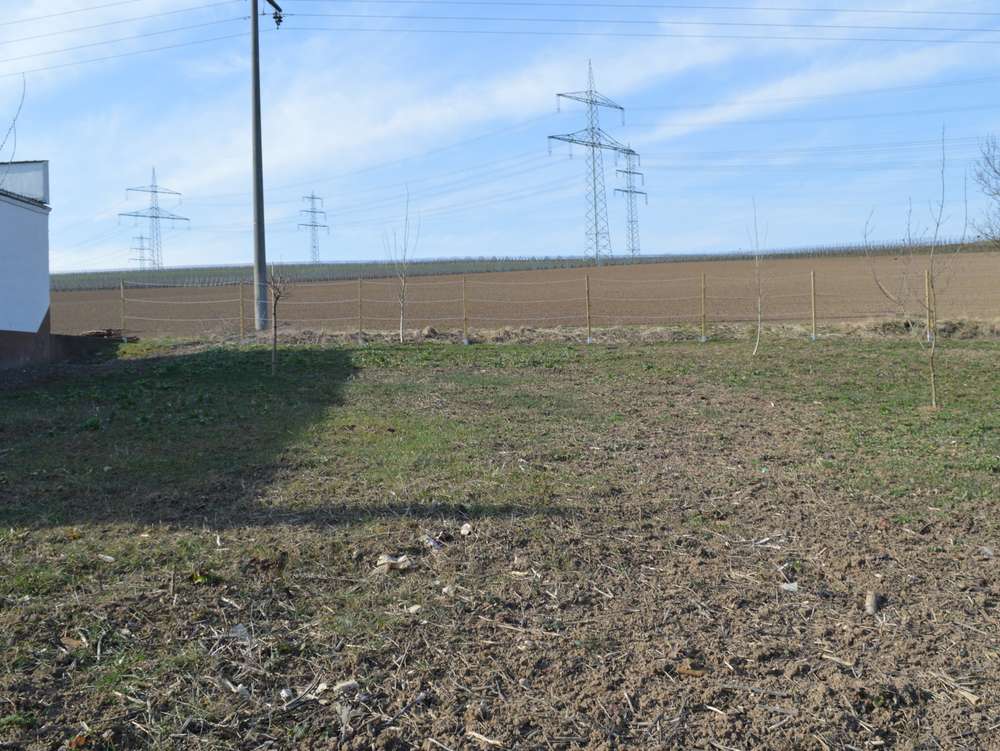 Baugrundstück idyllisch gelegen ****Feldrandlage***